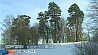 Морозы на этой неделе сохранятся в Беларуси