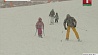 Горные лыжи, сноуборд и тюбинг-трассы
