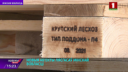 Лесхозы Минской области открывают новые производства по переработке древесины 