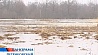 Первые паводки извещают белорусов об окончании зимы