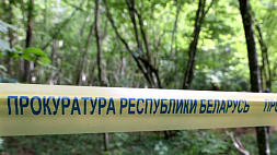 Неизвестное ранее место расстрела мирных жителей в годы ВОВ установили в Ивацевичском районе