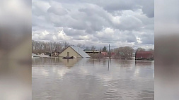 Наводнение в России: эпицентр стихийного бедствия переместился в Курган, уровень воды может подняться до 11 метров