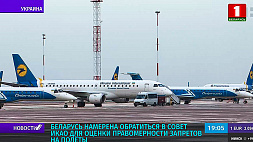 Беларусь намерена обратиться в Совет ICAO для оценки правомерности запретов на полеты через Украину