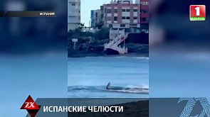  Три пляжа закрыли в Испании из-за акул-молотов