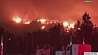 Калифорния пытается справиться с лесными пожарами