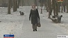 В Беларуси на сегодня объявлен оранжевый уровень опасности из-за морозов