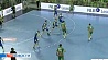 Мужская сборная Беларуси выиграла по гандболу международный турнир Елоу Кап