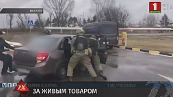 В Могилеве задержали трафикера. Он пытался организовать выезд из страны 19-летней белоруски