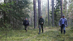 Пять человек заблудились в лесах Беларуси за прошедшие сутки: поиски пенсионерки из Шумилинского района продолжаются