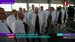 Как обстоят дела на МТК "Купалинка" и с заготовкой кормов - Президент инспектирует Оршанский район 