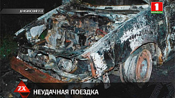 Житель Дрибина угнал, а затем спалил авто