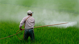 До конца года в Беларуси откроют завод по уничтожению пестицидов