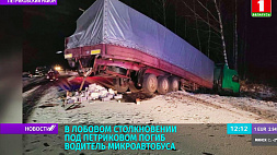 Лобовое столкновение под Петриковом - погиб водитель микроавтобуса 