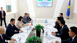Президенты Беларуси и Узбекистана прагматично смотрят вперед - Танзила Нарбаева