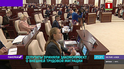 Депутаты приняли в первом чтении законопроект о внешней трудовой миграции