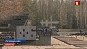 76 лет трагедии Хатыни. В Беларуси вспоминают скорбную дату 