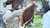 Первый республиканский конкурс юных пчеловодов