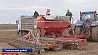 К посеву кукурузы приступили белорусские аграрии