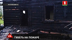 СК устанавливает причину ночного пожара в Могилевском районе, где погибли 2 человека