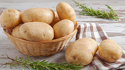 Американские ученые требуют не называть картошку овощем, чтобы люди не толстели