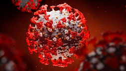 Длительность иммунитета у переболевших COVID-19 определили ученые