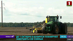 Сев озимых в Беларуси планируют завершить до 1 октября
