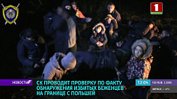 СК Беларуси проводит проверку по факту обнаружения избитых беженцев на границе с Польшей 