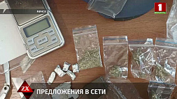 В Минске задержан торговец марихуаной и его клиенты 