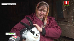 В одном из хозяйств Гродненской области решили развивать кролиководство