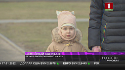 Размер семейного капитала в Беларуси вырос на 9,5 %
