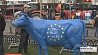 Евросоюз отменяет квоты на молоко