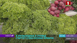 В Минске стартует сезон сельскохозяйственных ярмарок 