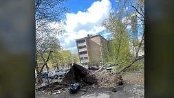 Повалены деревья, сорваны крыши, разрушены ограждения - последствия штормового ветра в Москве