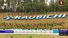 Второй этап Кубка Содружества по биатлону стартует 15 сентября в Раубичах - какие ожидания у биатлонистов?