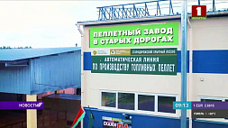 Пеллетный завод - каковы перспективы в Беларуси?