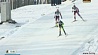 Динара Алимбекова - 17-я в гонке преследования на этапе Кубка мира IBU в Ланцерхайде