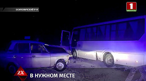 В Осиповичском районе сотрудники департамента охраны задержали пьяного водителя