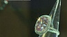 Уникальное кольцо продано в Женеве  за 28,5 миллионов долларов