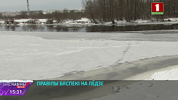 Сотрудники ОСВОДа и спасатели рекомендуют отказаться от прогулок по льду