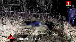 Стрельбой и гибелью человека закончилась ссора незнакомцев в Славгородском районе