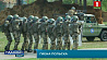 В Европе идет наращивание военного контингента НАТО, а Украина проводит военные учения 