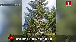 В Гродно спасатели помогали застрявшей на дереве парашютистке