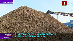 Более миллиона тонн сахарной свеклы собрано в Минской области