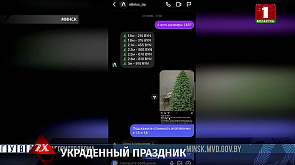 Шестеро минчан хотели купить елки и стали жертвами аферистов в Instagram