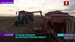 Аграрии Беларуси перешли на круглосуточную работу