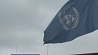 Сексуальный скандал добрался до ООН
