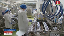 Продукцию из белорусского картофеля планируют отгружать в страны Европы и Китай 