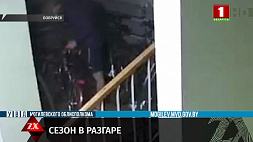 Два велосипеда похитил житель Бобруйска