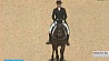 Елена Телепушкина с лошадью Пассат гарантировали себе участие на Олимпийских играх в Бразилии