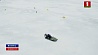 7 человек  провалились под лед в Беларуси за полтора месяца нового года